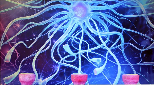 Hình ảnh minh họa ý nghĩa của từ nucleus