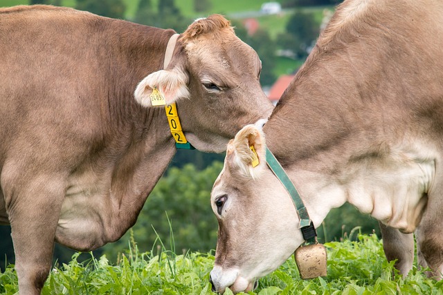 Hình ảnh minh họa ý nghĩa của từ nudge