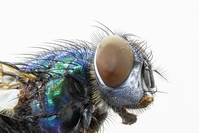 Hình ảnh minh họa ý nghĩa của từ nuisances