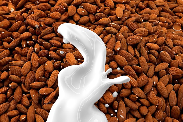 nut milk
