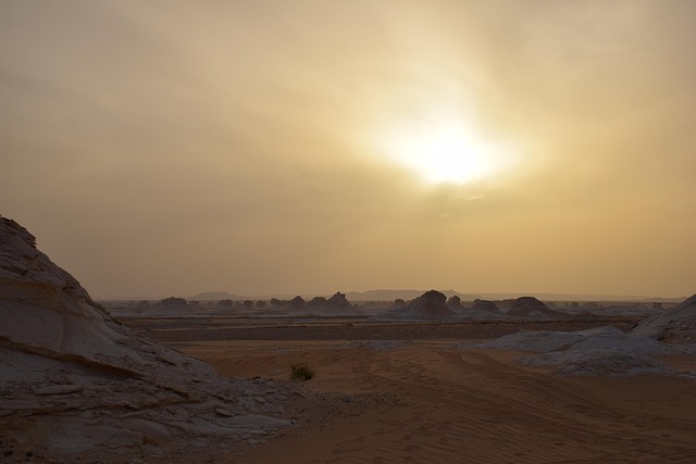 Hình ảnh minh họa ý nghĩa của từ oases