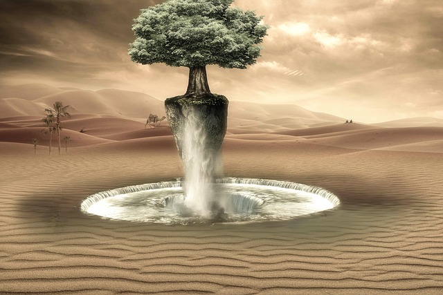 Hình ảnh minh họa ý nghĩa của từ oasis