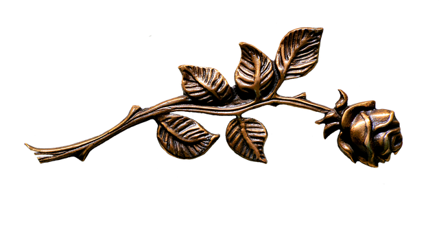 Hình ảnh minh họa ý nghĩa của từ objectively