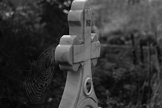 Hình ảnh minh họa ý nghĩa của từ oblivion