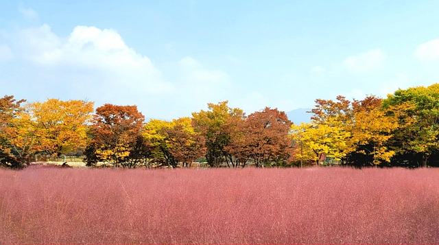 Hình ảnh minh họa ý nghĩa của từ obvious