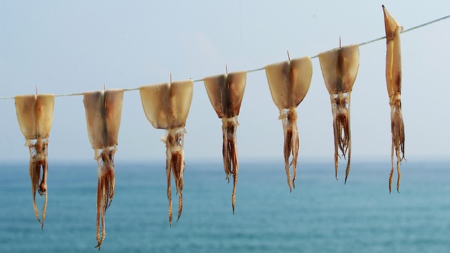 Hình ảnh minh họa ý nghĩa của từ ocean preservation