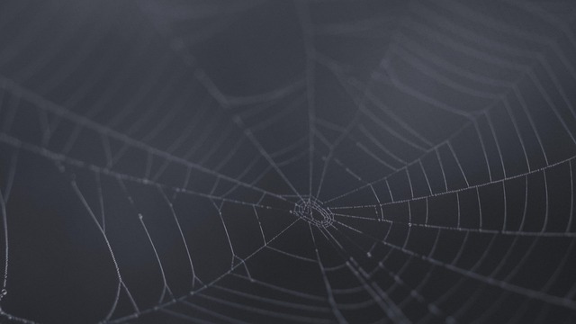 Hình ảnh minh họa ý nghĩa của từ october