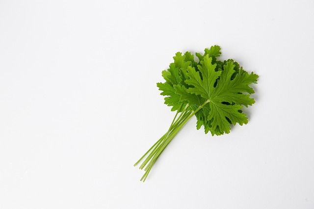 Hình ảnh minh họa ý nghĩa của từ odorant