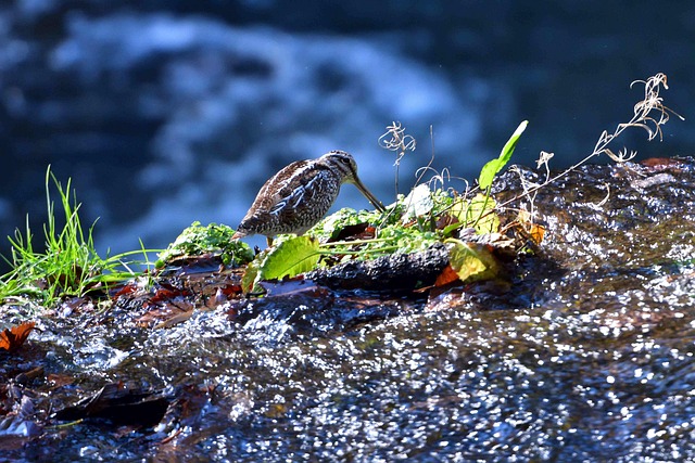 Hình ảnh minh họa ý nghĩa của từ off-season