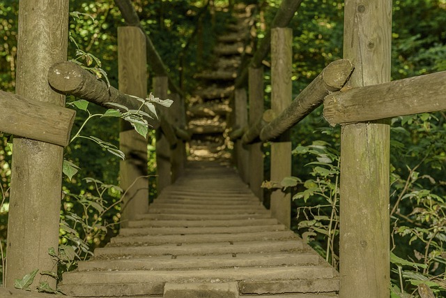 Hình ảnh minh họa ý nghĩa của từ off-the-beaten-path travel