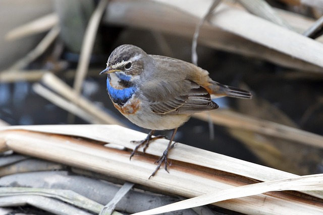 Hình ảnh minh họa ý nghĩa của từ off-white