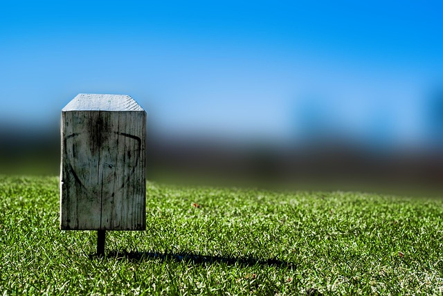 Hình ảnh minh họa ý nghĩa của từ off course