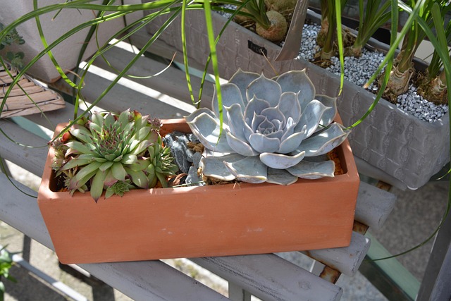 Hình ảnh minh họa ý nghĩa của từ offered