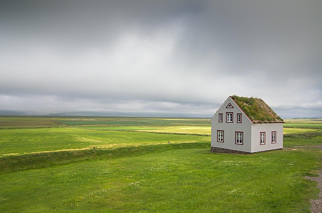 old grass