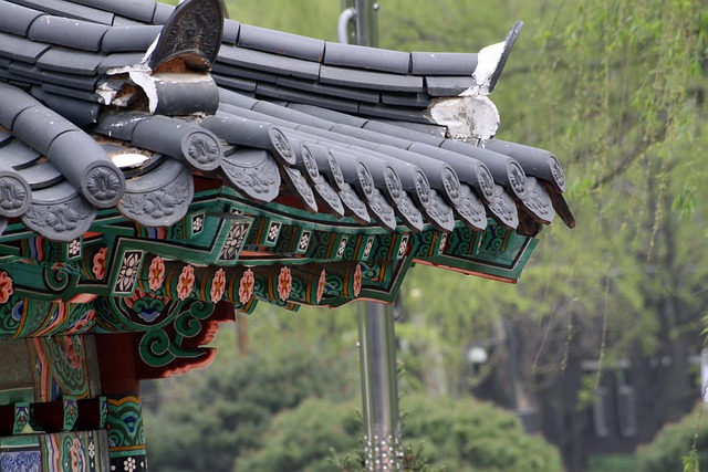 Hình ảnh minh họa ý nghĩa của từ on-premise