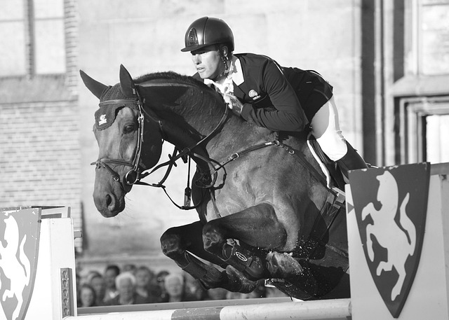 Hình ảnh minh họa ý nghĩa của từ on horseback
