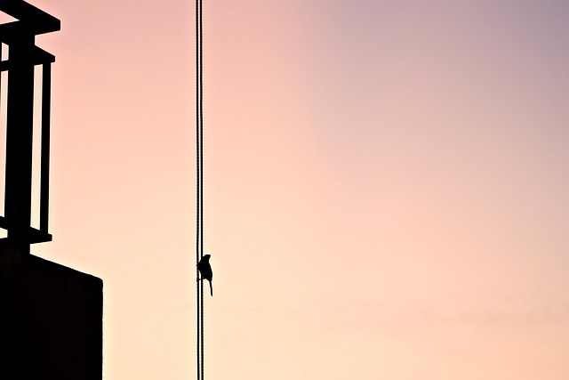 on the ropes