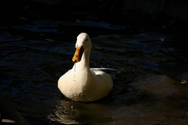 Hình ảnh minh họa ý nghĩa của từ ongoing training