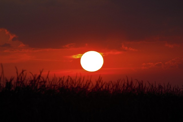 Hình ảnh minh họa ý nghĩa của từ opacity