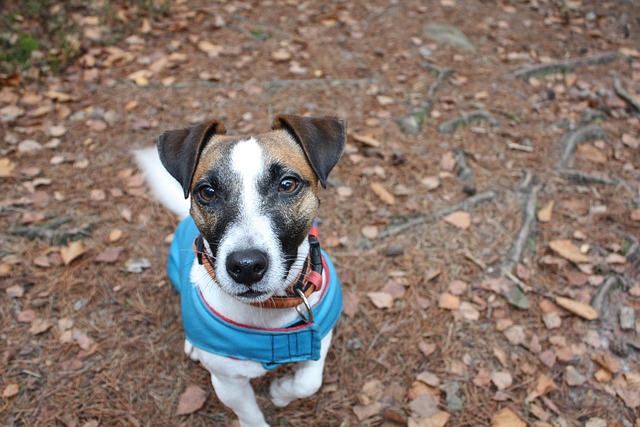 Hình ảnh minh họa ý nghĩa của từ open-minded