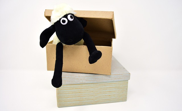 open box