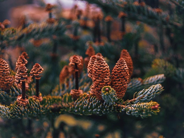 Hình ảnh minh họa ý nghĩa của từ openly