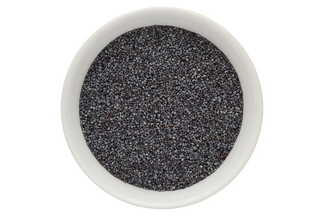 Hình ảnh minh họa ý nghĩa của từ opiates