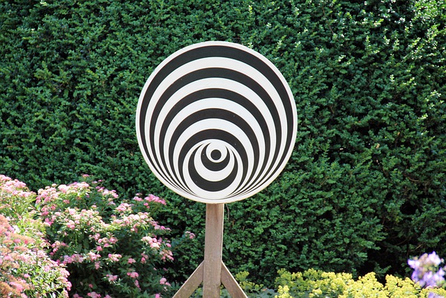 optical disc