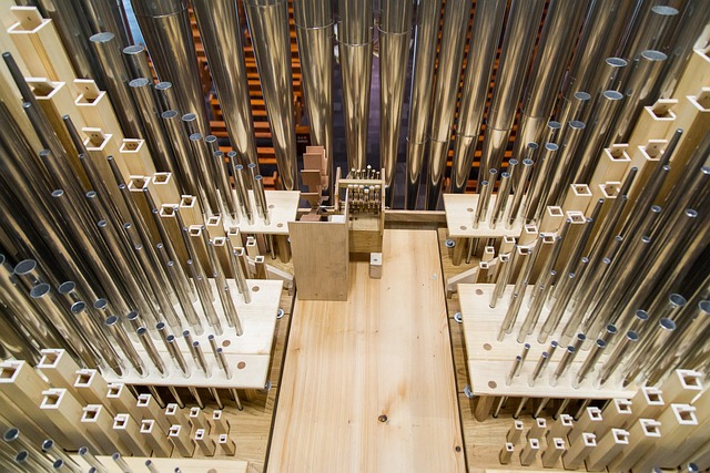 Hình ảnh minh họa ý nghĩa của từ opus