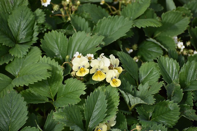 Hình ảnh minh họa ý nghĩa của từ or else