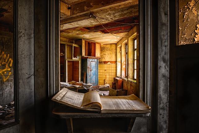 Hình ảnh minh họa ý nghĩa của từ orderliness