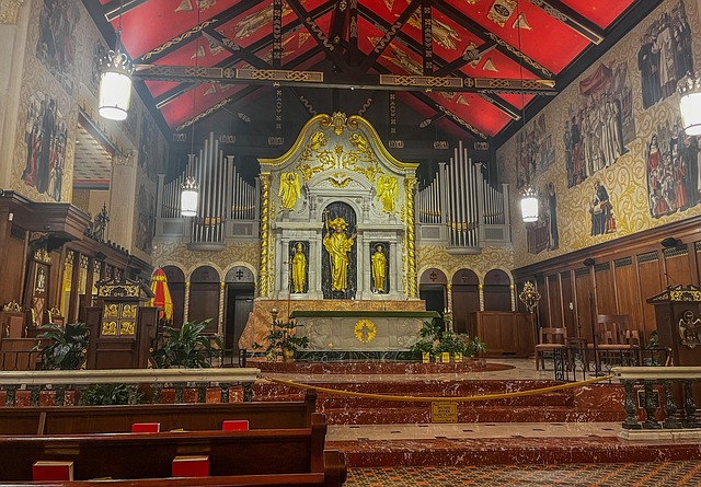 Hình ảnh minh họa ý nghĩa của từ organ