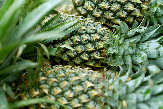 organic fruit