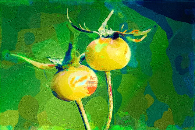 Hình ảnh minh họa ý nghĩa của từ organism