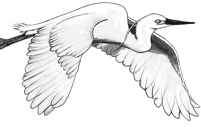 Hình ảnh minh họa ý nghĩa của từ origin