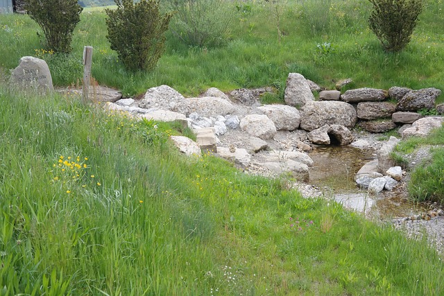 Hình ảnh minh họa ý nghĩa của từ original sources