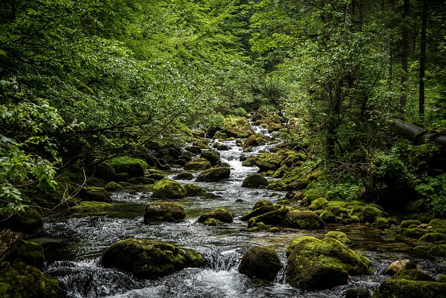 Hình ảnh minh họa ý nghĩa của từ origins