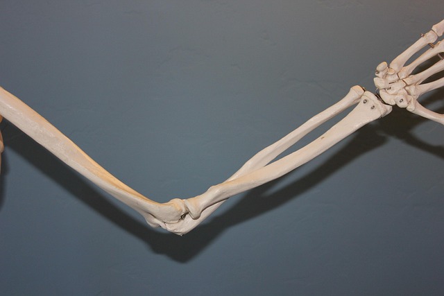 orthopaedics