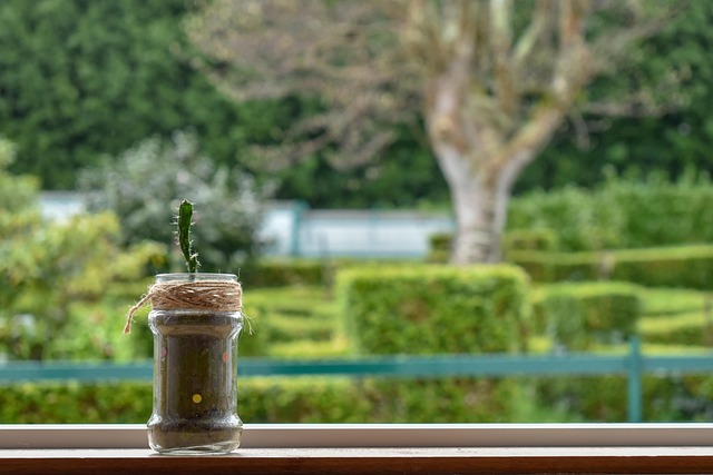 Hình ảnh minh họa ý nghĩa của từ outcast