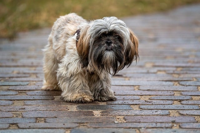 Hình ảnh minh họa ý nghĩa của từ outgoings