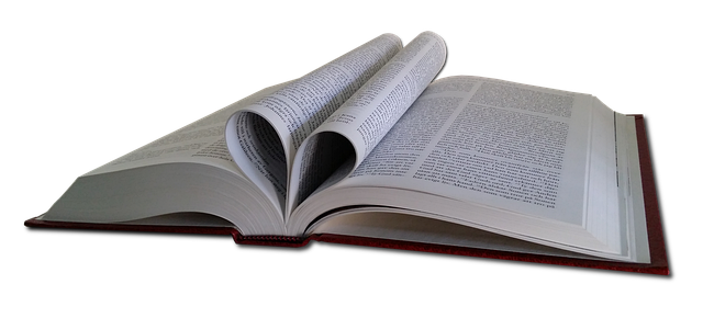 Hình ảnh minh họa ý nghĩa của từ outlined