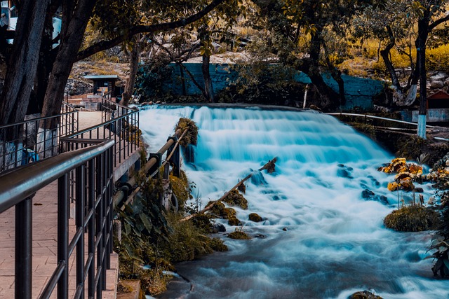 Hình ảnh minh họa ý nghĩa của từ pace