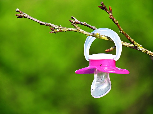 Hình ảnh minh họa ý nghĩa của từ pacifier