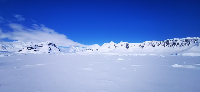 pack ice