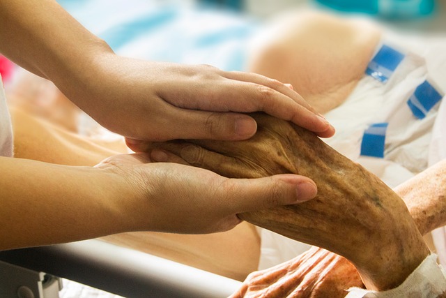 Hình ảnh minh họa ý nghĩa của từ palliative care
