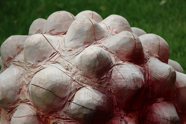 Hình ảnh minh họa ý nghĩa của từ pandemic