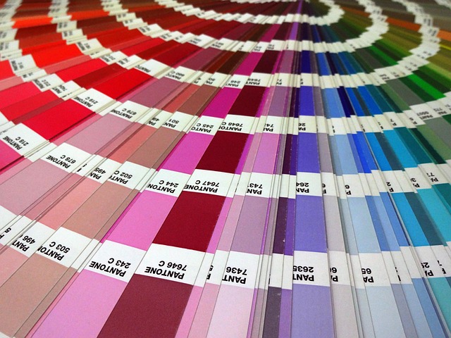 Hình ảnh minh họa ý nghĩa của từ pantone