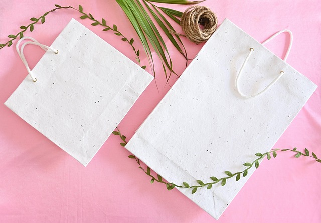 Hình ảnh minh họa ý nghĩa của từ paper bag