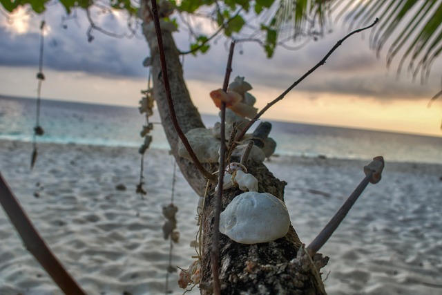 Hình ảnh minh họa ý nghĩa của từ parade