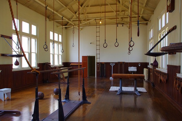 parallel bars